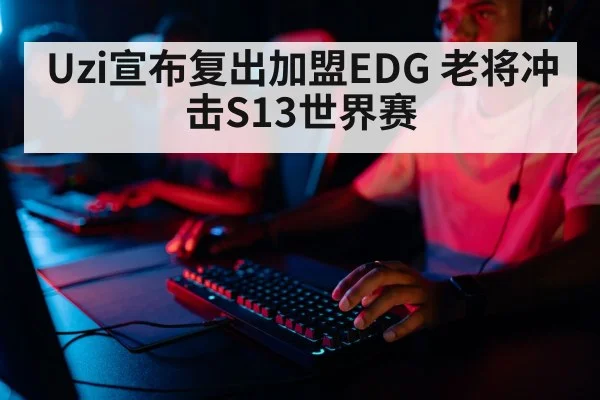 professional gamer